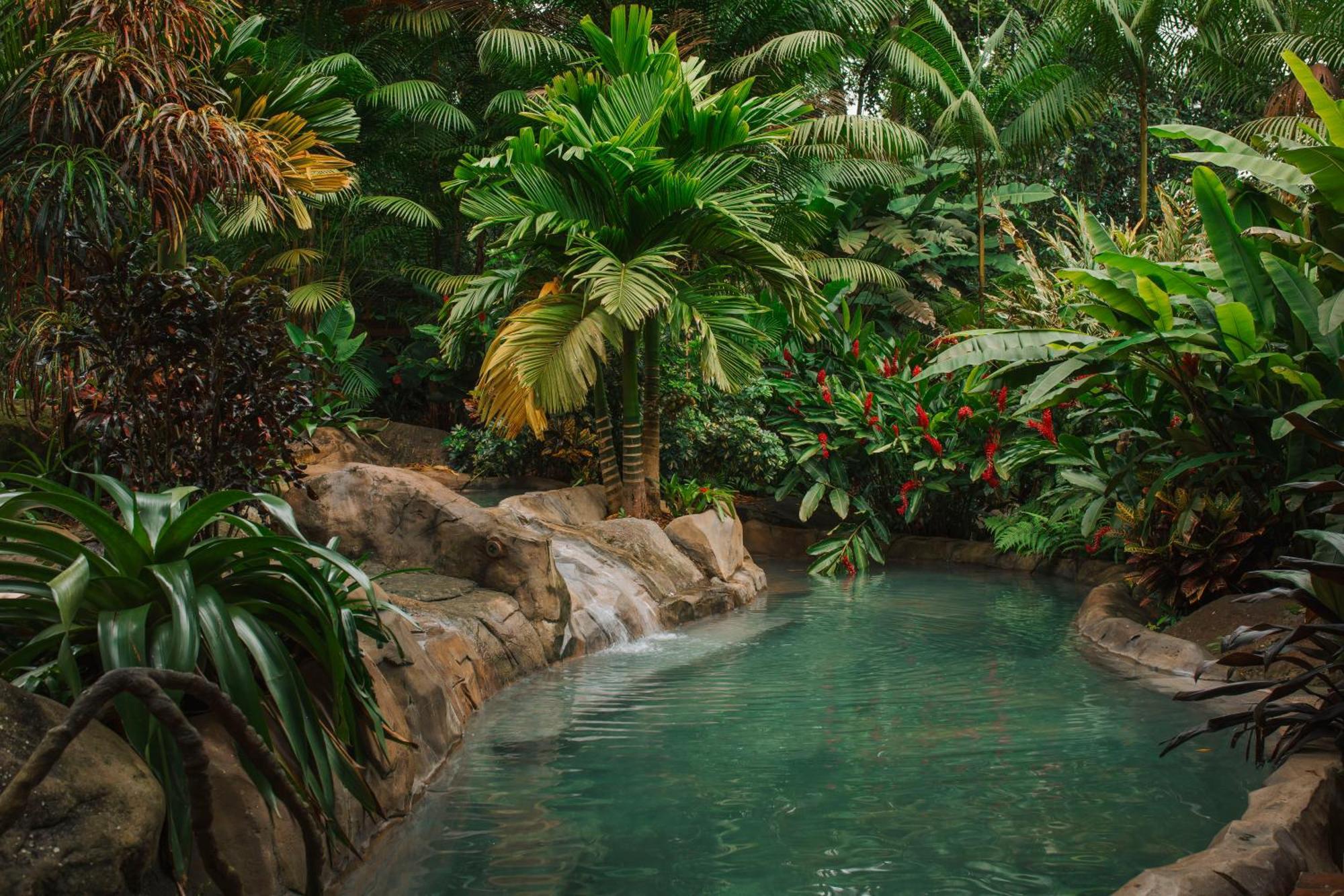 Hotel Chachagua Rainforest & Hot Springs