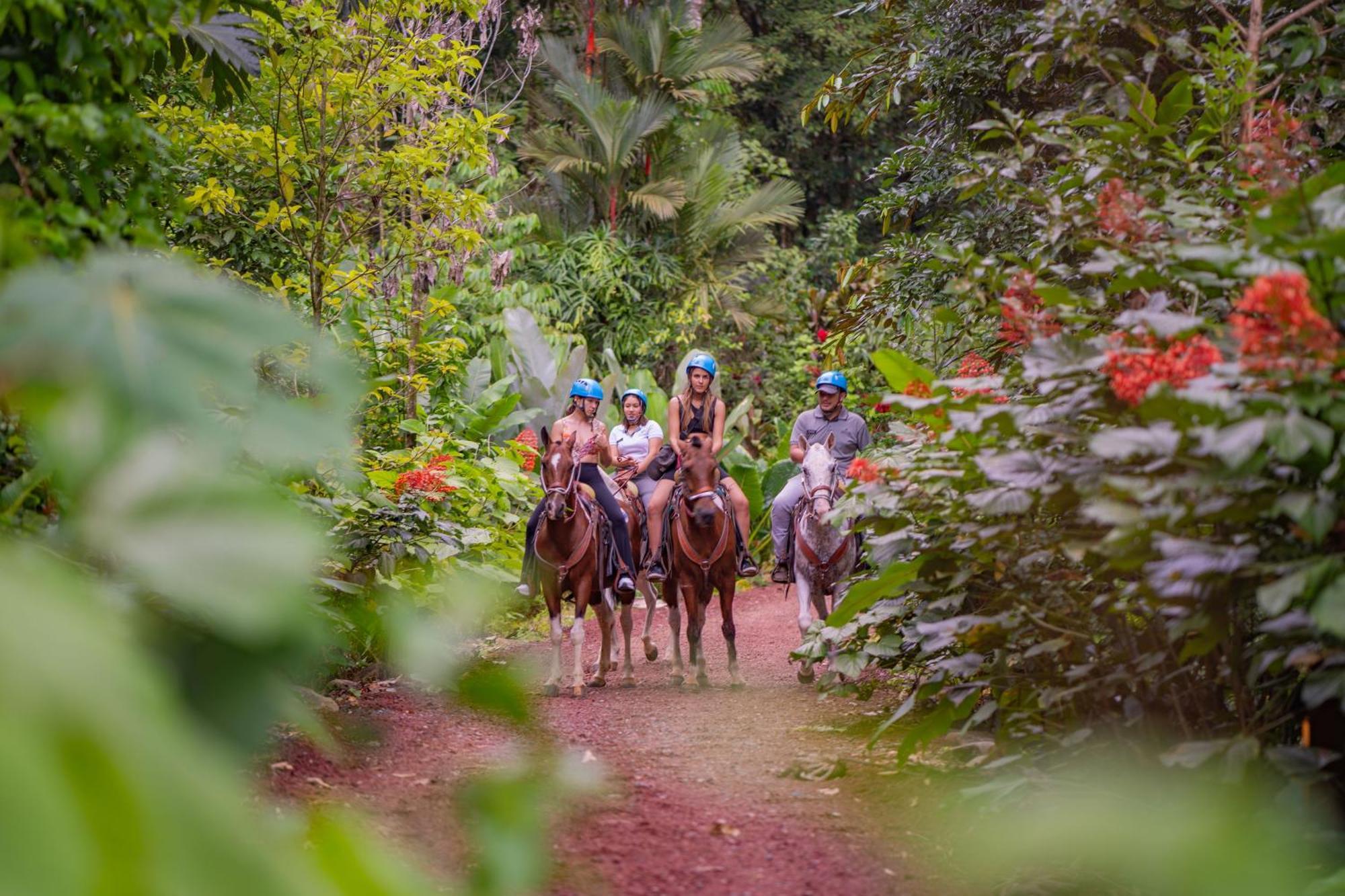 Chachagua Rainforest & Hot Springs 4*