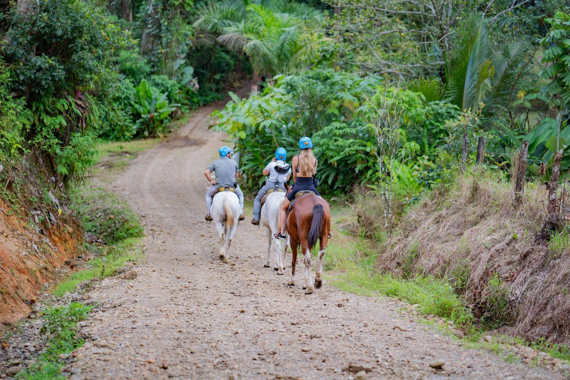 Chachagua Rainforest & Hot Springs